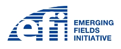 Logo EFI