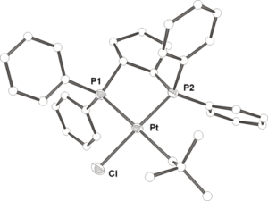 Strukturmodell eines in der asymmetrischen Hydroformylierung katalytisch aktiven Chloro(neopentyl)platin(II)-Komplexes mit chiralem cyclo-C5H8(PPh2)2-Steuerliganden (Bild: FAU)