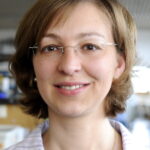 Prof. Dr. Svetlana Tsogoeva (Foto: Gerd Grimm, FAU)